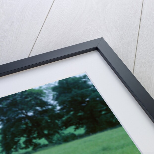 1955 Aston Martin DB3s by Unknown