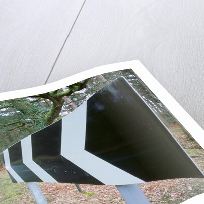 Chevron Road sign by Unknown