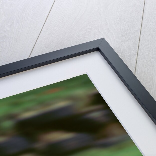 Danny Sullivan, 1998 Goodwood revival meeting by Unknown