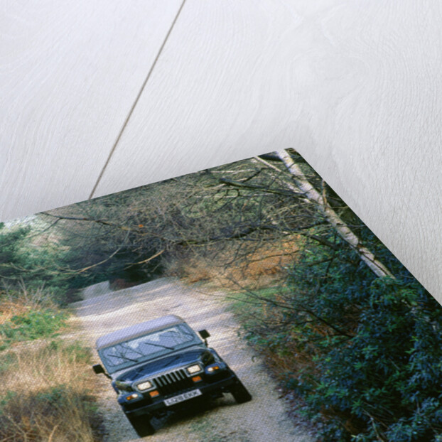 1994 Jeep Wrangler by Unknown