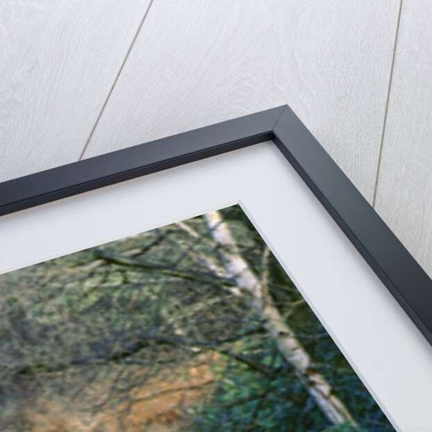 1994 Jeep Wrangler by Unknown