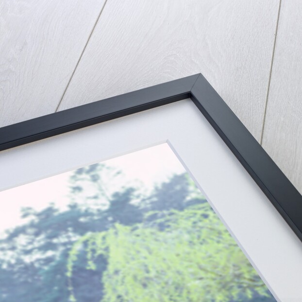 1962 Trojan 200 Heinkel bubble car by Unknown