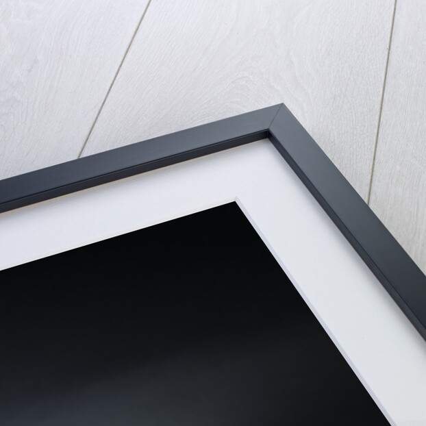 1998 Lotus Elise by Unknown