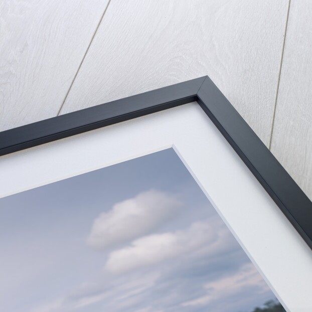 2001 Mercedes Benz SLK 320 AMG by Unknown