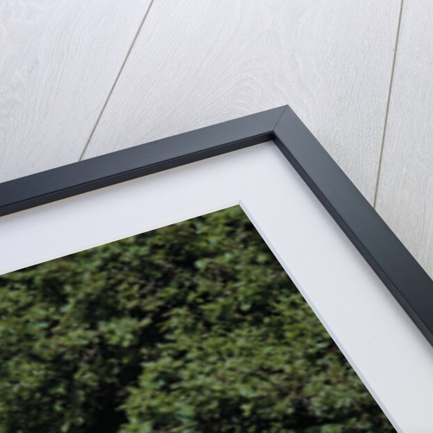 1959 MG A Twin Cam Coupe by Unknown