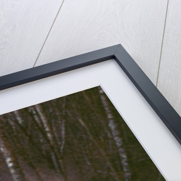 2000 Land Rover Discovery TD5 by Unknown