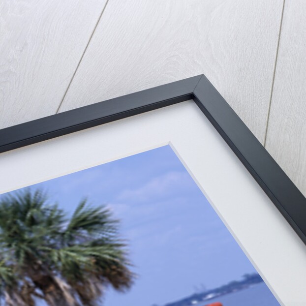 1970 Dodge Superbee by Unknown