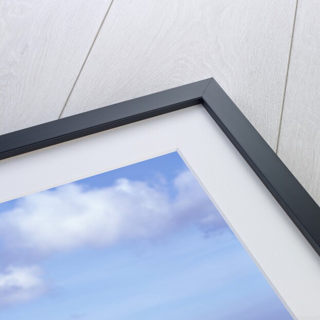 1986 Audi Quattro by Unknown