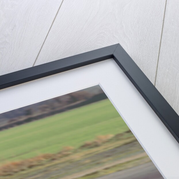 1996 Lotus Elise by Unknown