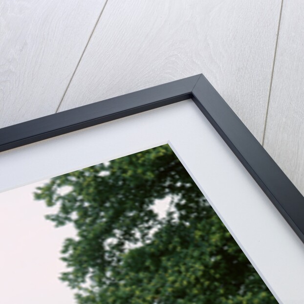 1956 Maserati 300S by Unknown