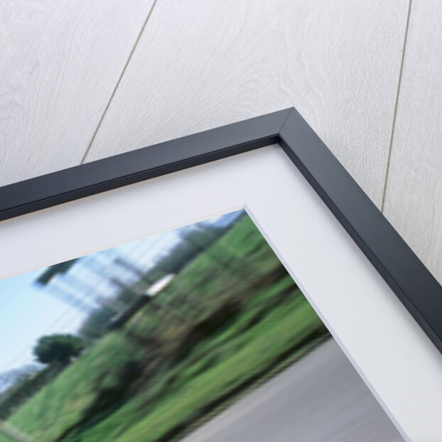 2000 BMW 318i by Unknown