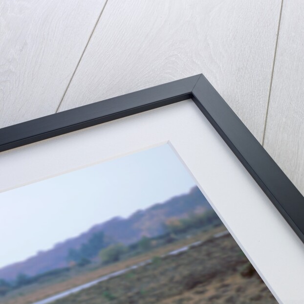 2001 Mini Cooper by Unknown