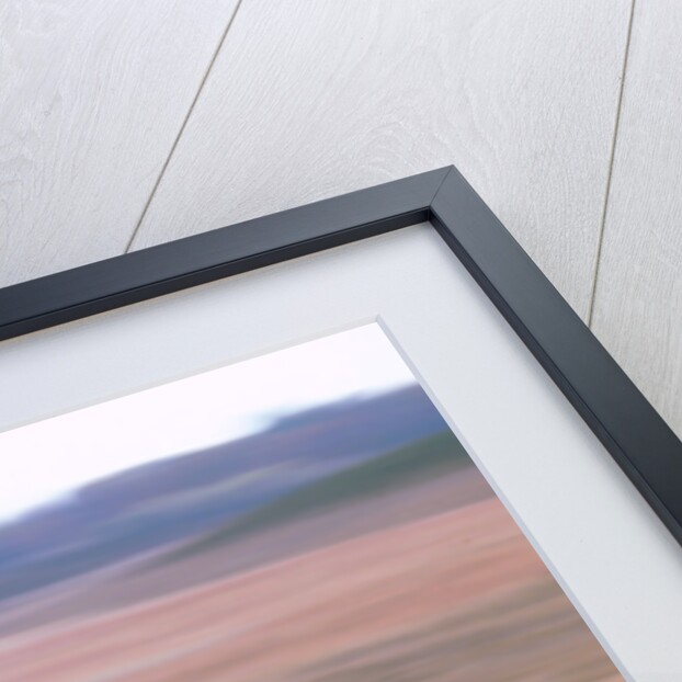 2001 Mini Cooper by Unknown