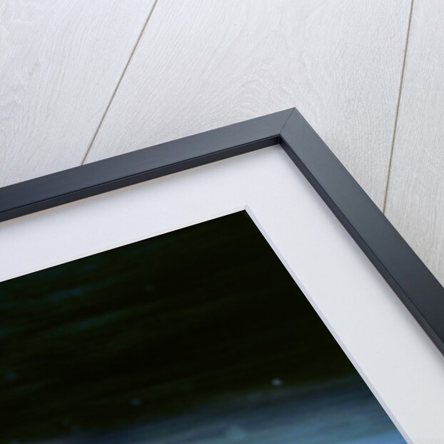 Subaru impreza ,B.Lyall.1998 Network Q by Unknown