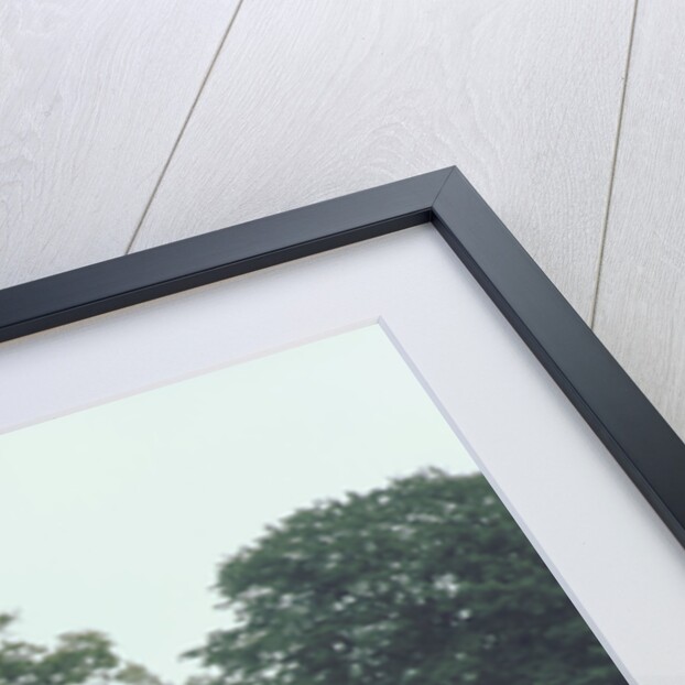 1974 AMC Hornet. Man with the Golden Gun stunt car by Unknown