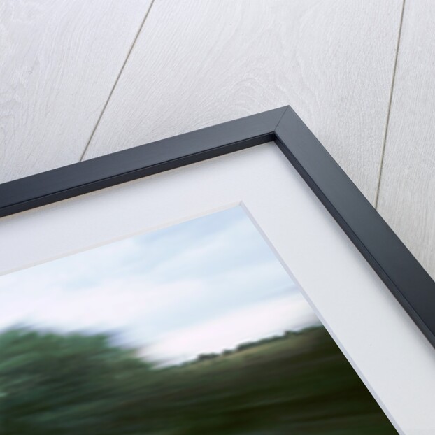 1999 Ford Fiesta Zetec by Unknown