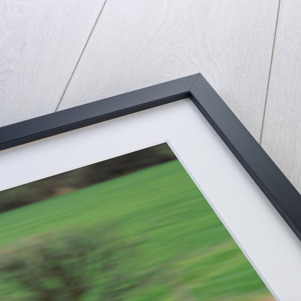 1996 Ferrari F50 by Unknown