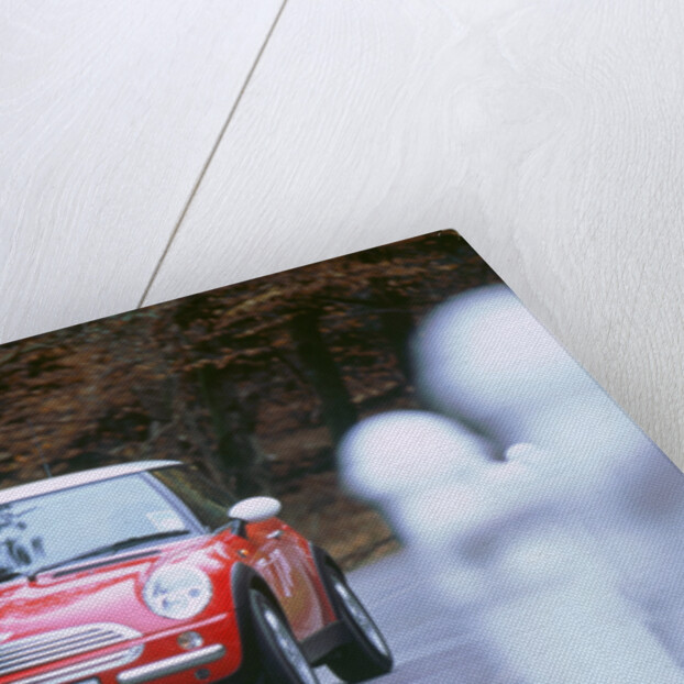 2001 Mini Cooper by Unknown