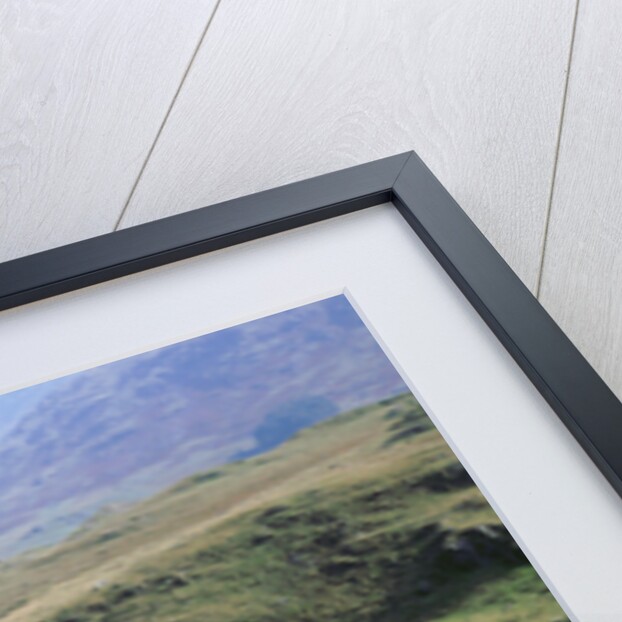 1998 Isuzu Trooper Duty by Unknown