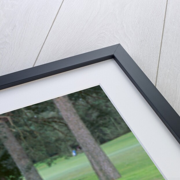 Gatso Speed Camera.2000 by Unknown