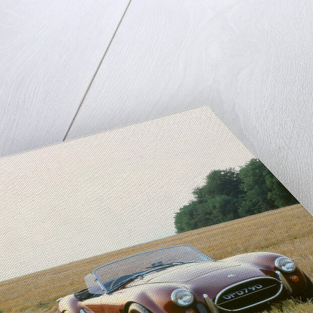 1966 AC Cobra 289 by Unknown