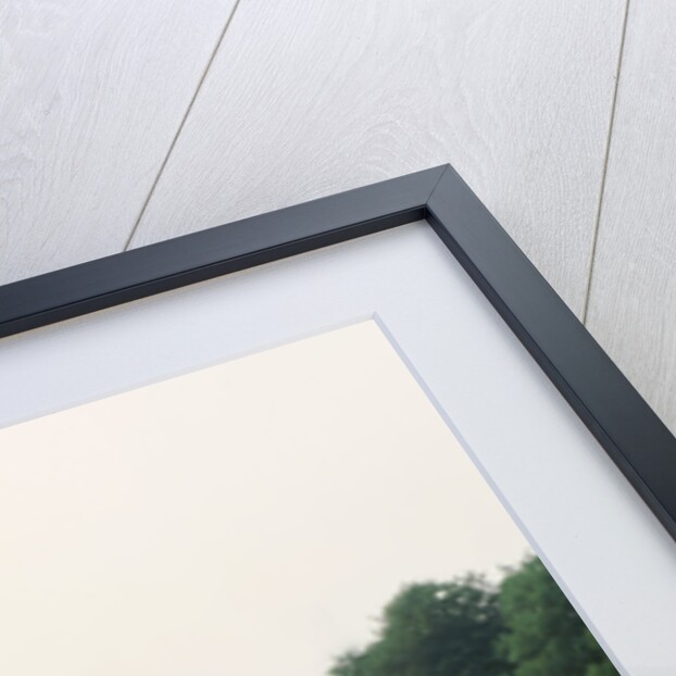 1966 AC Cobra 289 by Unknown