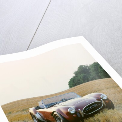 1966 AC Cobra 289 by Unknown