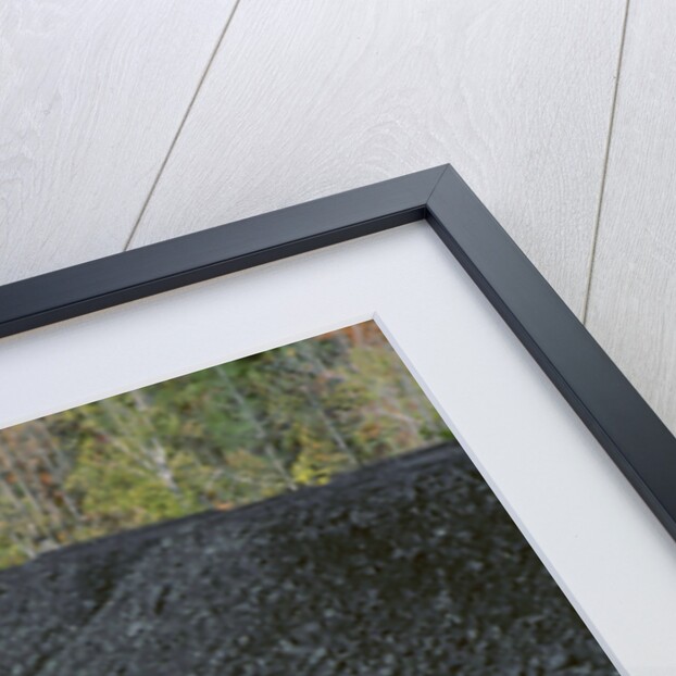 1955 Alfa Romeo BAT 9 by Unknown