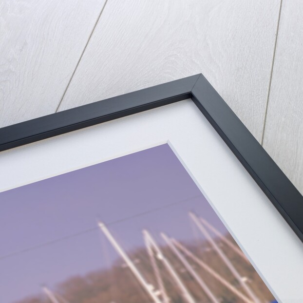 1999 AC Cobra Brooklands by Unknown