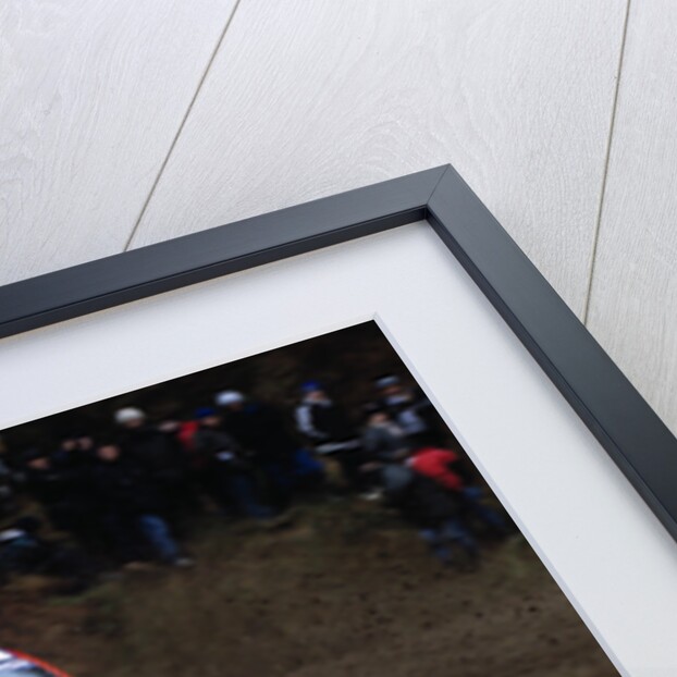 Ford Focus WRC99 by Unknown