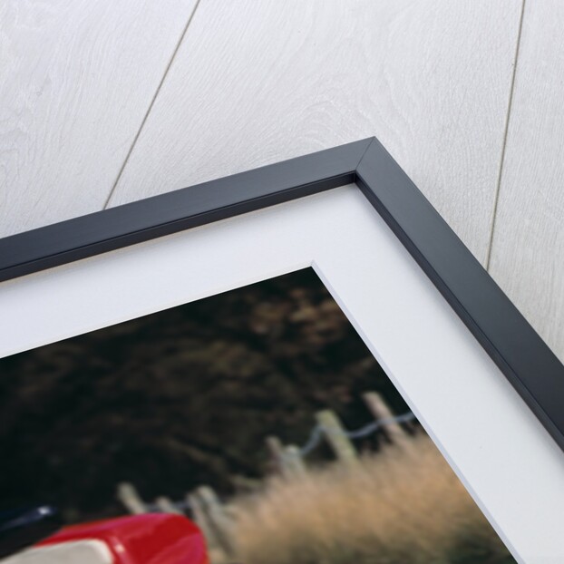 1994 Moto Guzzi Daytona 1000 by Unknown