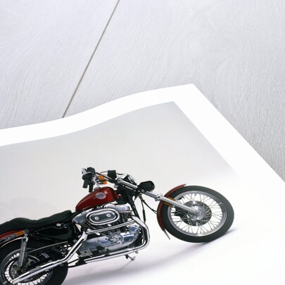 1989 Harley Davidson 883 Sportster by Unknown