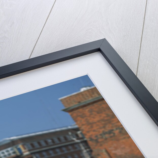 1996 Triumph Thunderbird by Unknown