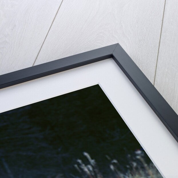 Mitsubishi  Lancer Evo,T.Makinen 1999 network q by Unknown