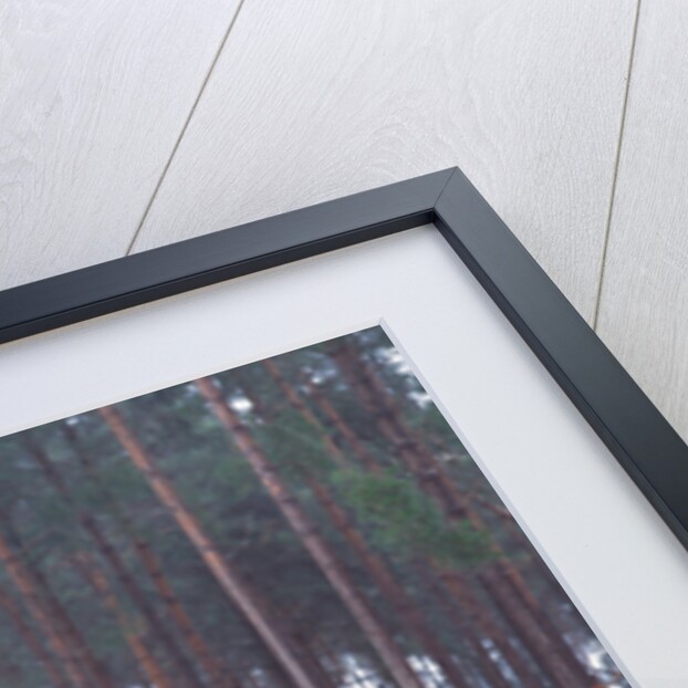 2000 Land Rover Discovery TD5 by Unknown