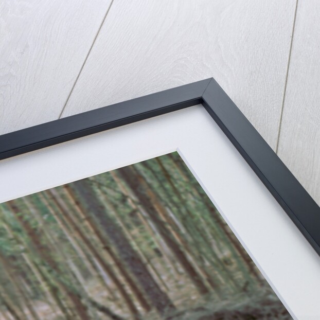 2001 BMW X5 4.4i by Unknown