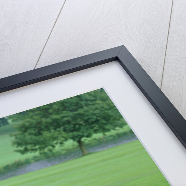 1956 Maserati 300S by Unknown