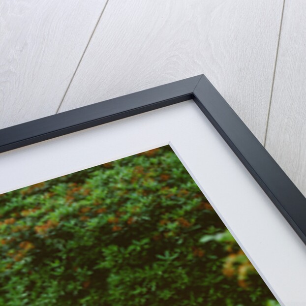 1949 Ferrari 195 Super Leggera by Unknown