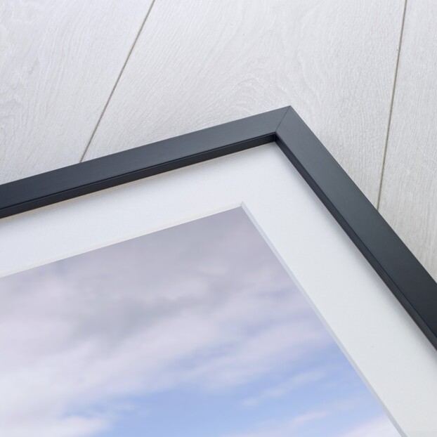 2002 Lotus Elise by Unknown