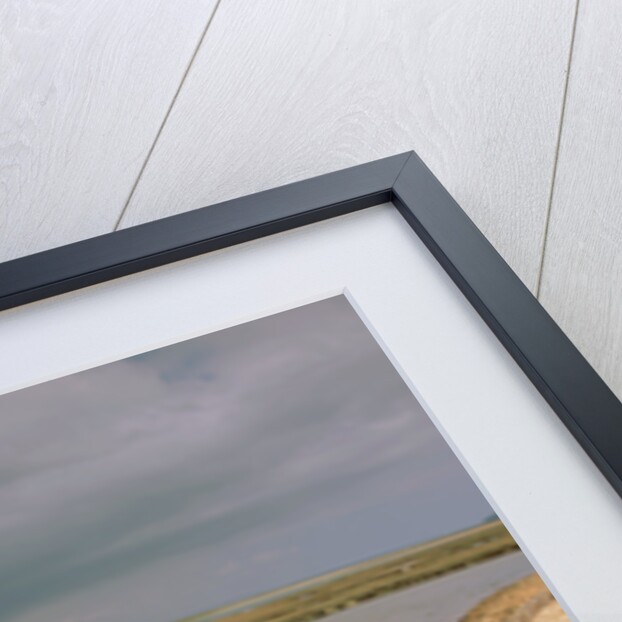 2002 Mini Cooper by Unknown