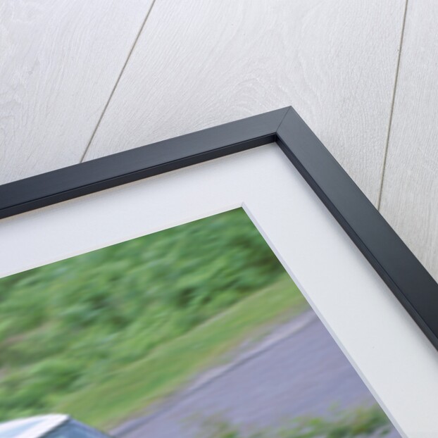 2002 Mini Cooper by Unknown