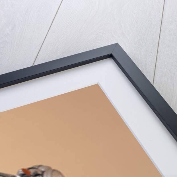 1999 BMW R1200C by Unknown