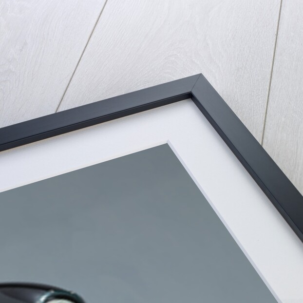 1996 BATTISTINIS Harley Davidson by Unknown