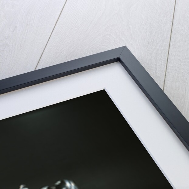 1951 Vincent HRD Series C Rapide by Unknown