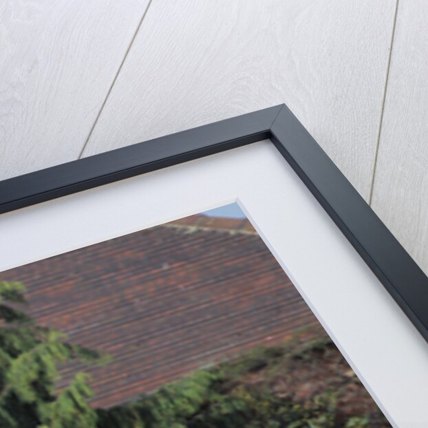 1996 Ferrari F50 by Unknown