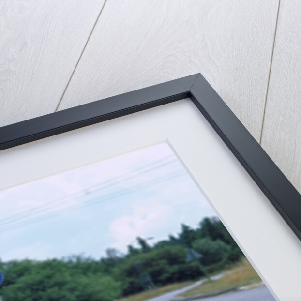 Tyre skidmarks on road surface by Unknown