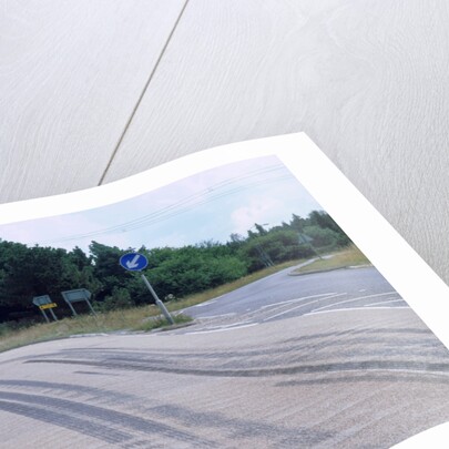 Tyre skidmarks on road surface by Unknown