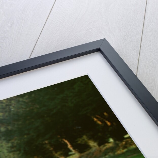 Ferrari group. Ferari Daytona 365GTB,246 Dino and 275 GTB by Unknown