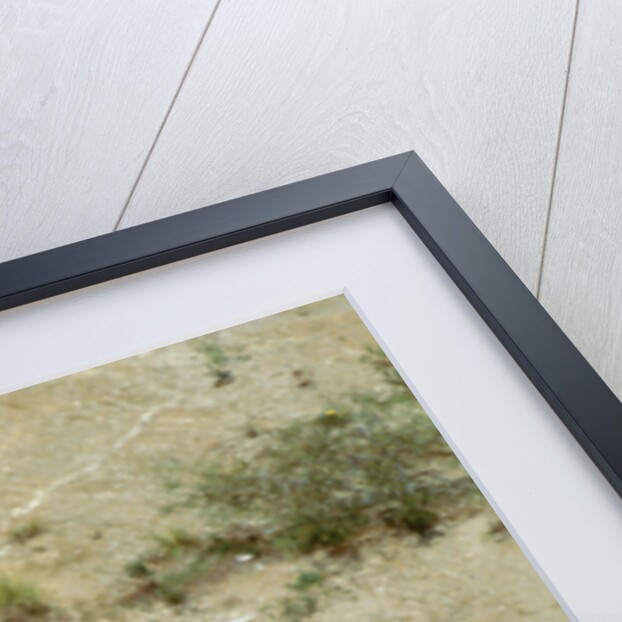 1960 Oldsmobile Super 88 by Unknown