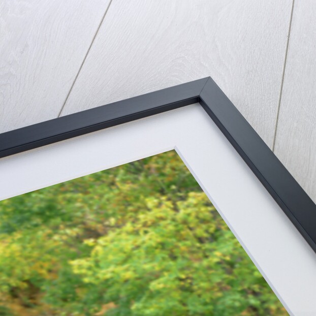 1902 Pierce Arrow by Unknown